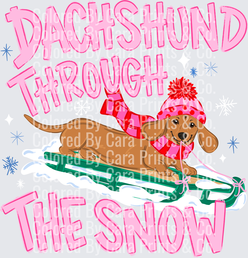 Dachshundthroughthesnow