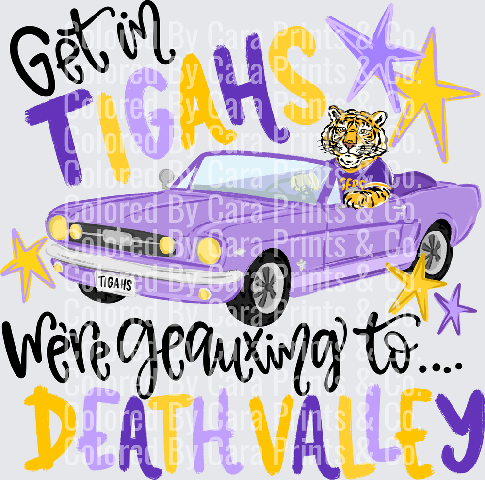 Get in Tigahs