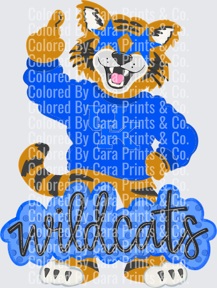 Preppy Wildcat