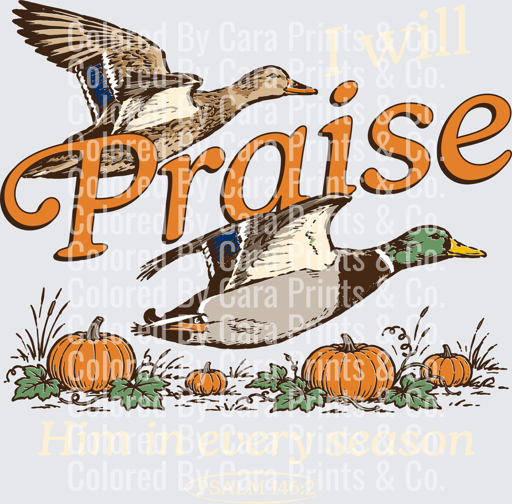 i-will-praise-christian-duck-hunting-fall-light
