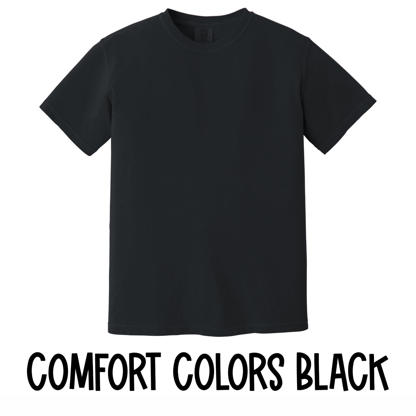 We Are SE Baseball T-Shirt~Comfort Colors