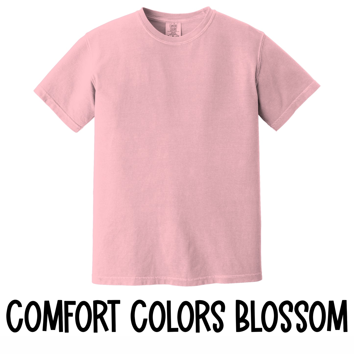 SEHS Coquette Baseball Bow T-Shirt~Comfort Colors