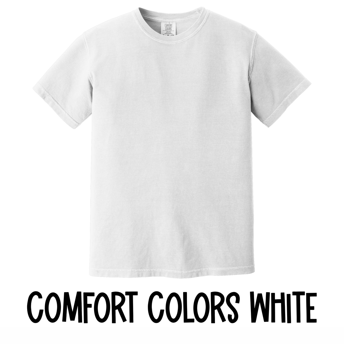 We Are SE Baseball T-Shirt~Comfort Colors