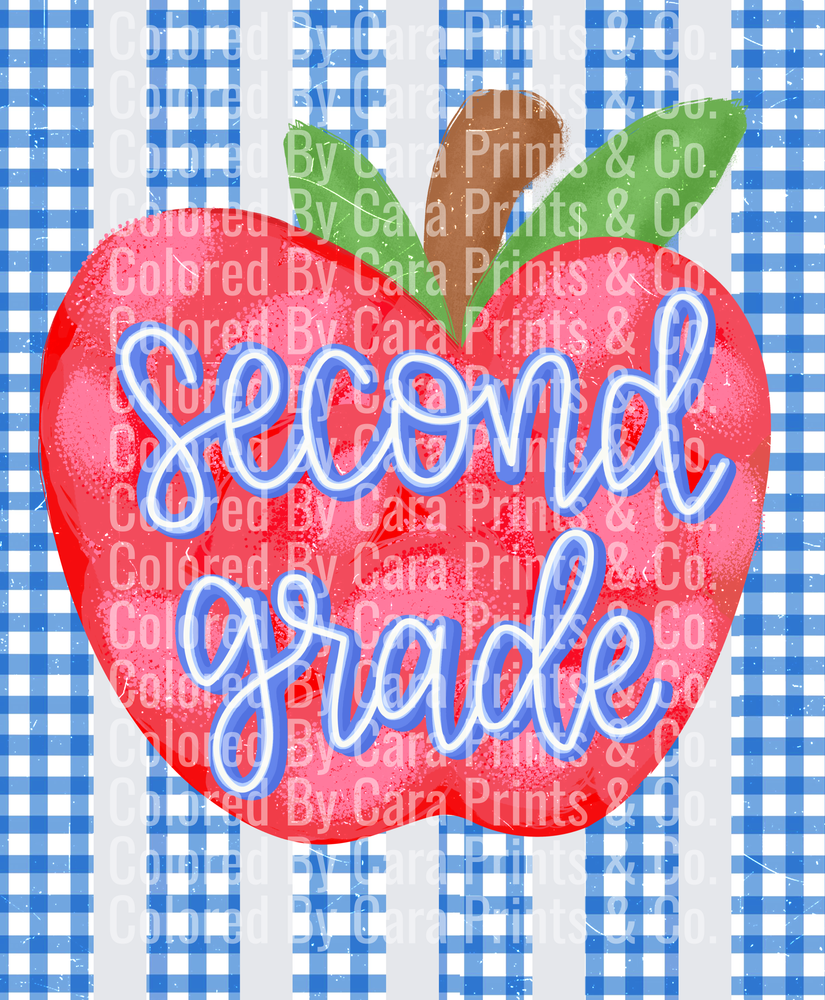 Gingham Stripes Second Grade