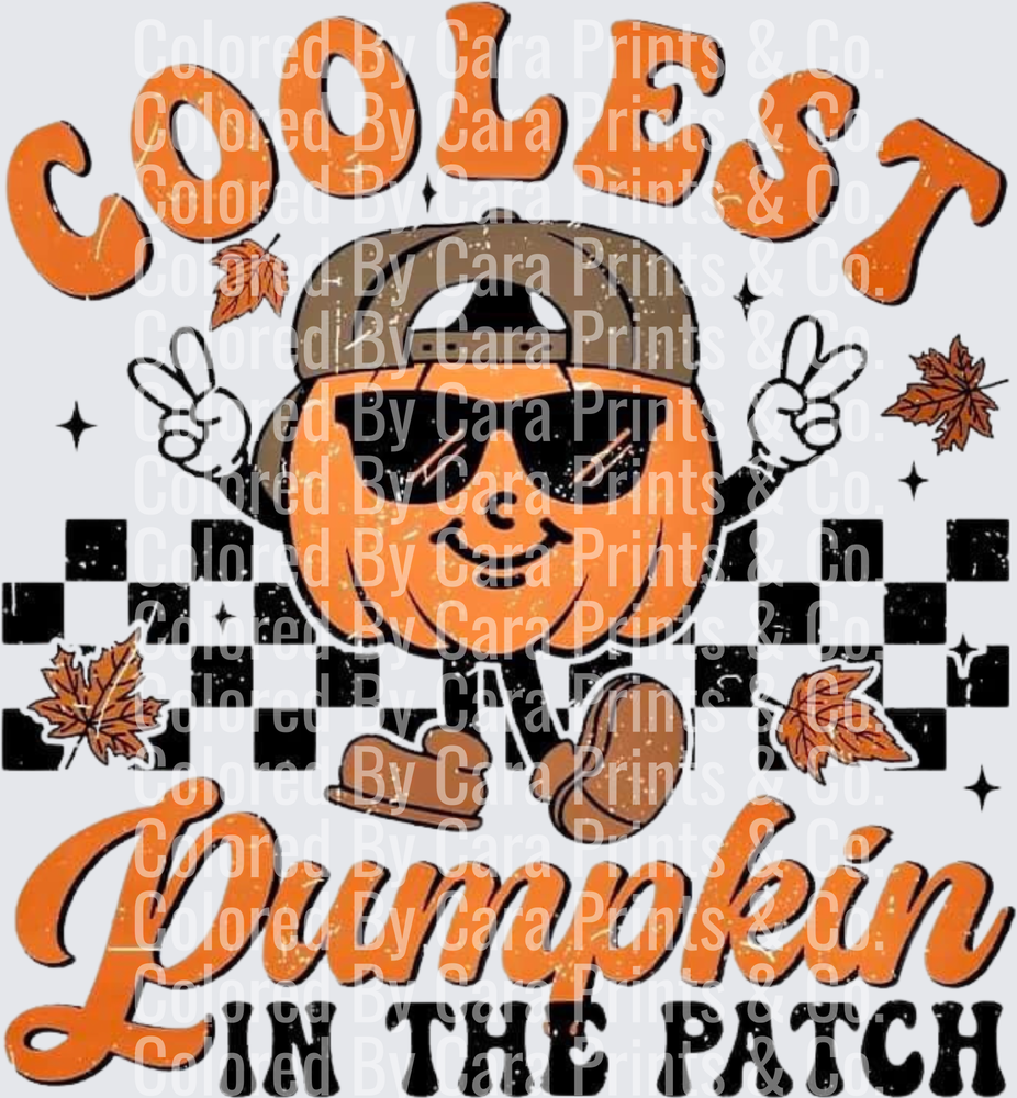 Coolest Pumpkin