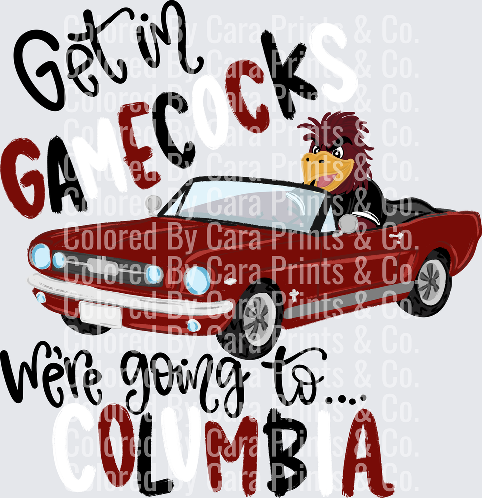 Get in Gamecocks