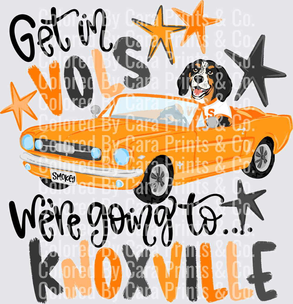 Get in Vols