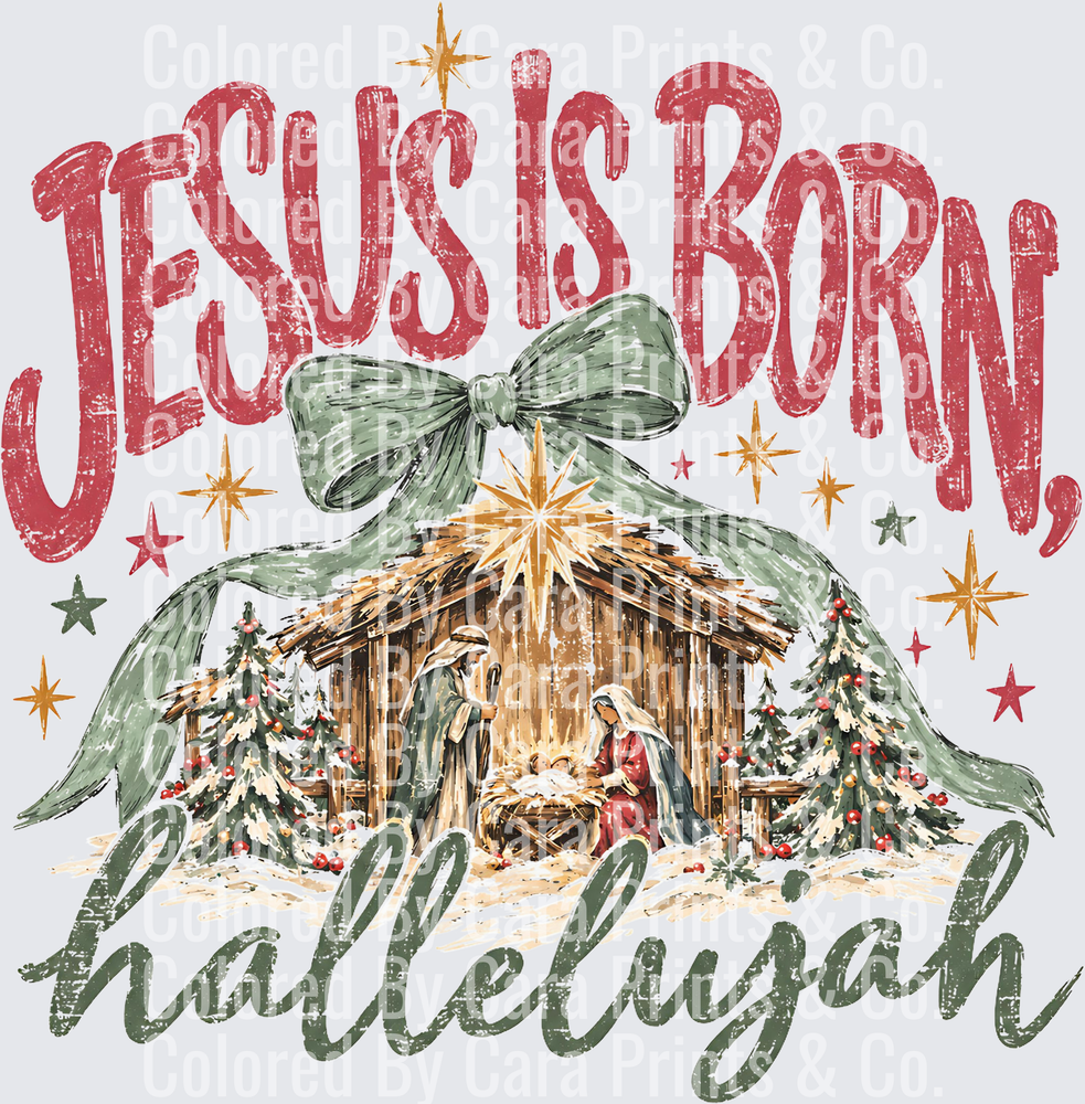 Jesus is Born