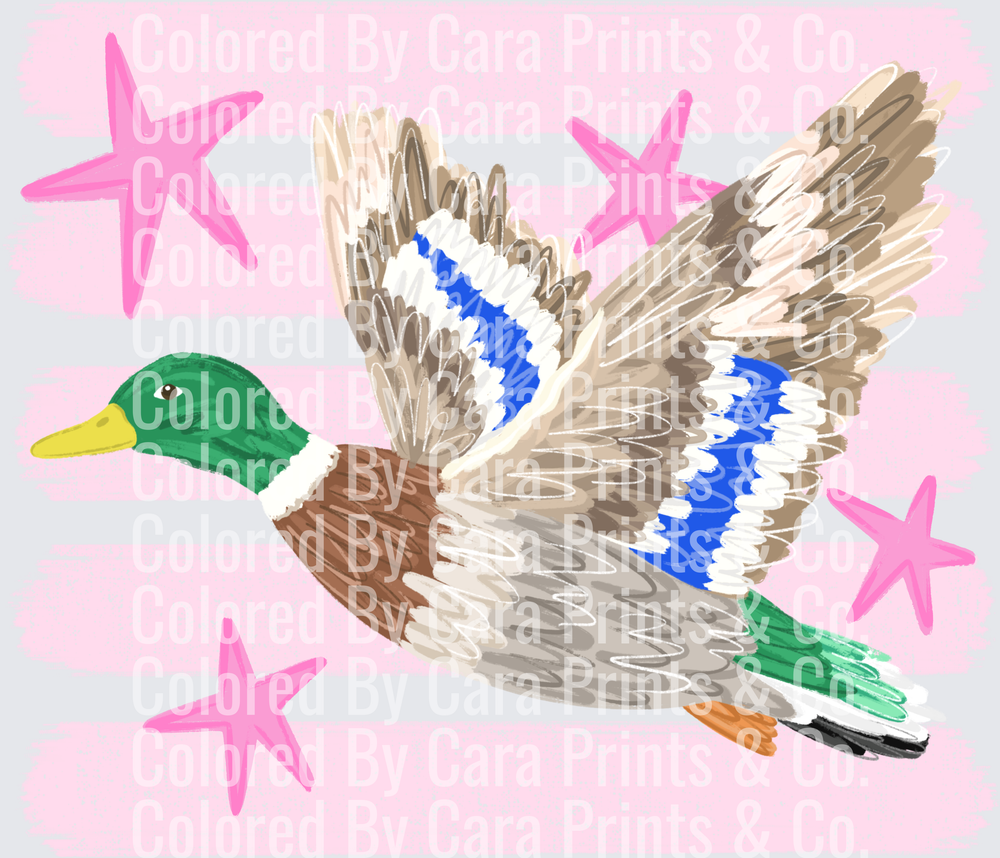 Duckwithstars