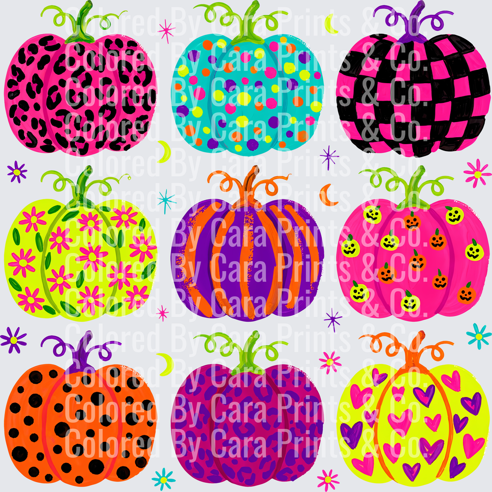 vibrant pumpkin patch