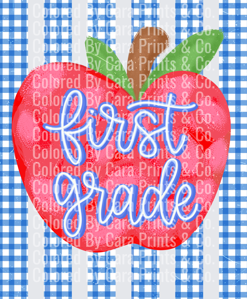 Gingham Stripes First Grade