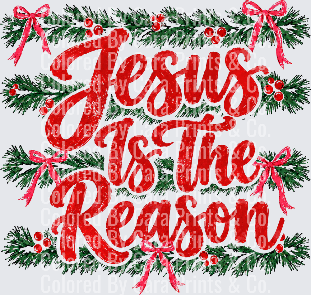 THE REASON