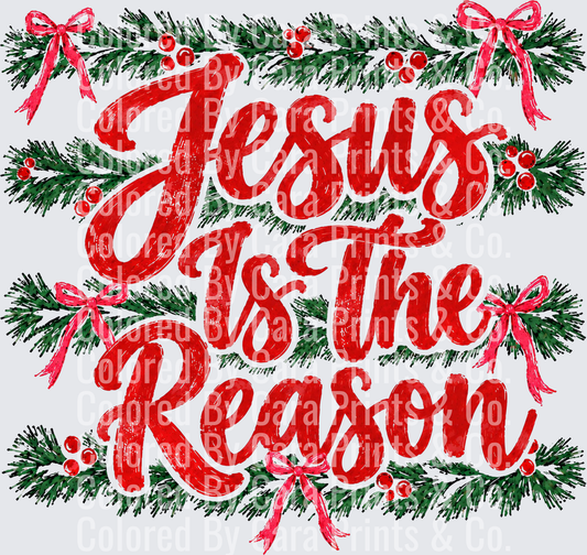 THE REASON