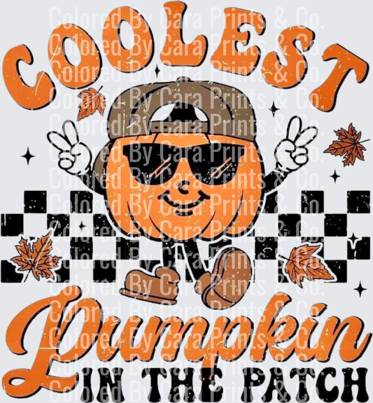 Coolest Pumpkin