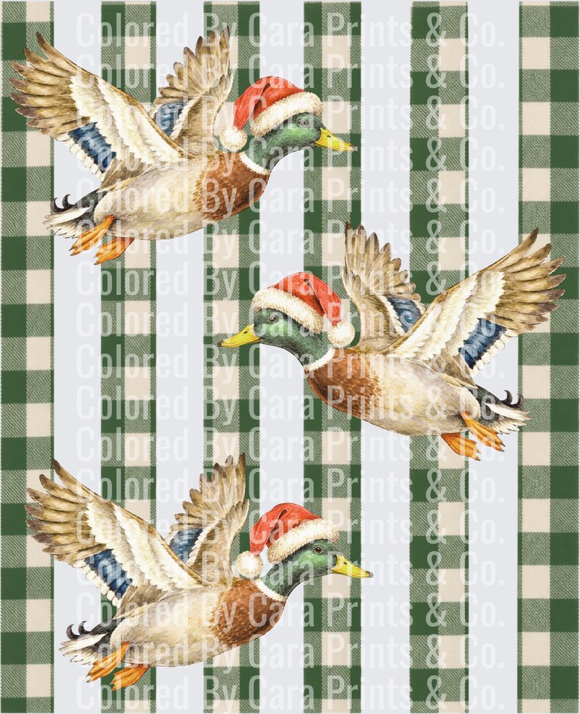 GreenCheckMallardDucks