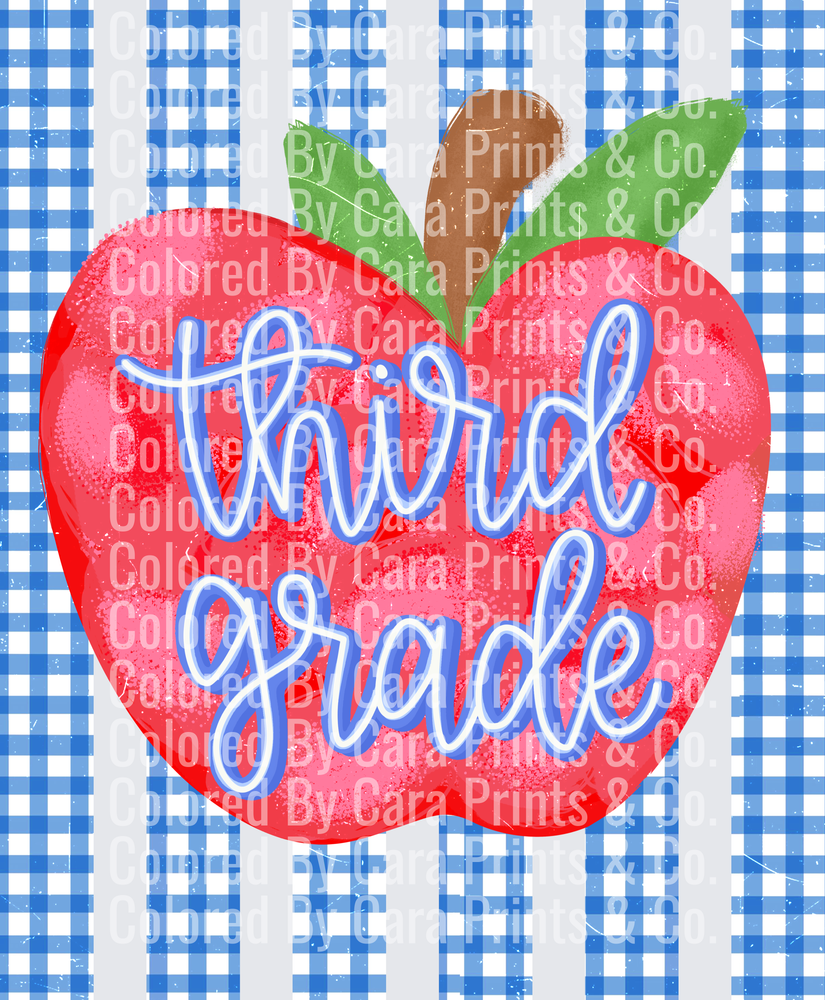 Gingham Stripes Third Grade