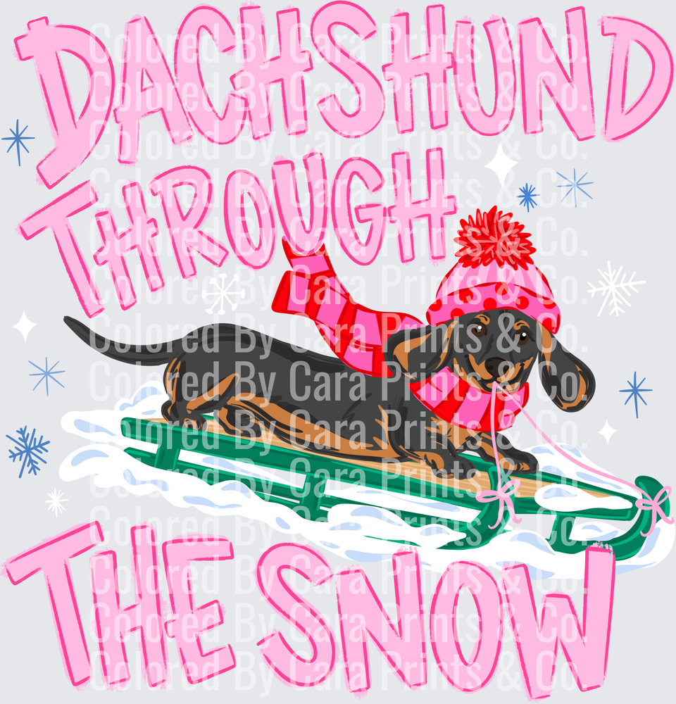Dachshund snow dark