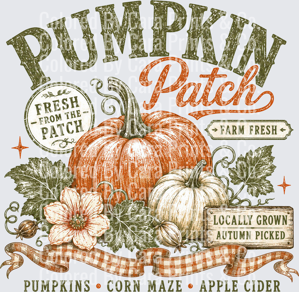 pumpkin patch