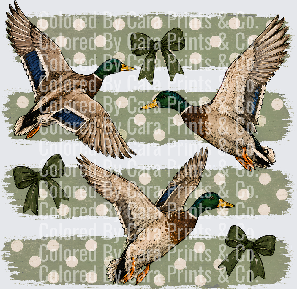 striped ducks