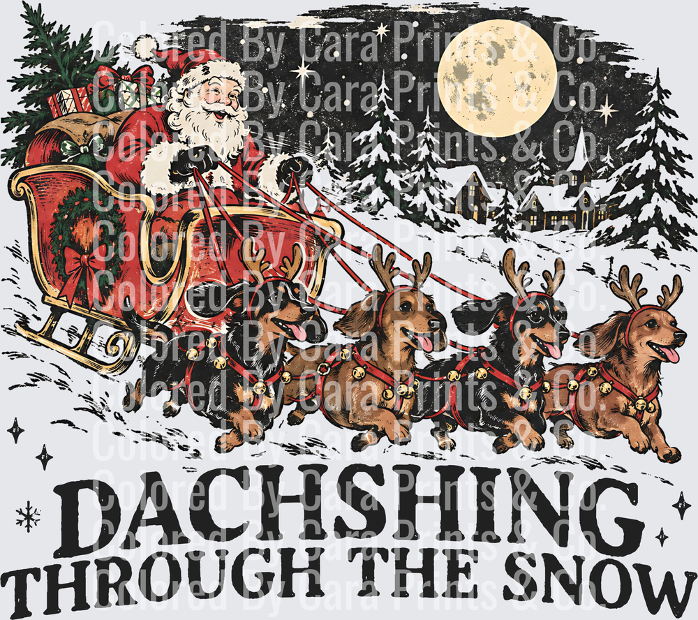Dachshing Through The Snow Dachshund