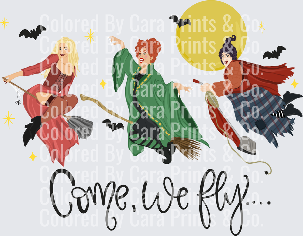 come we fly