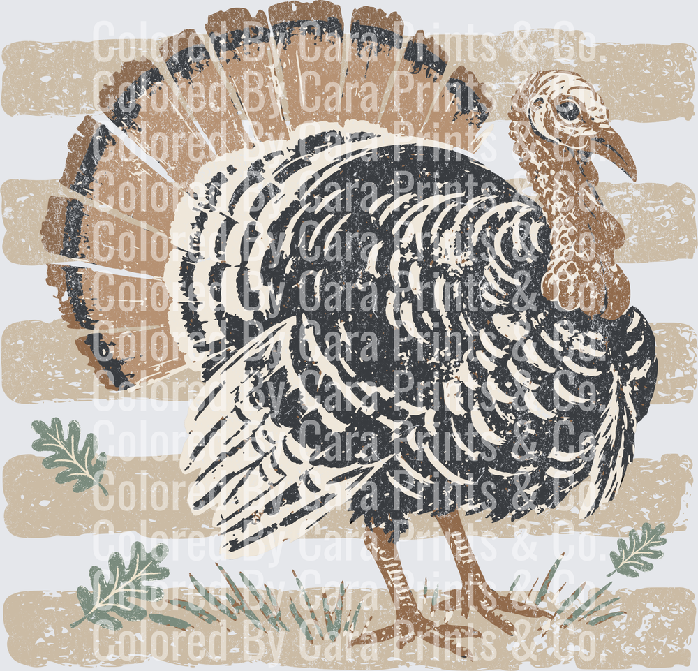 Striped Turkey
