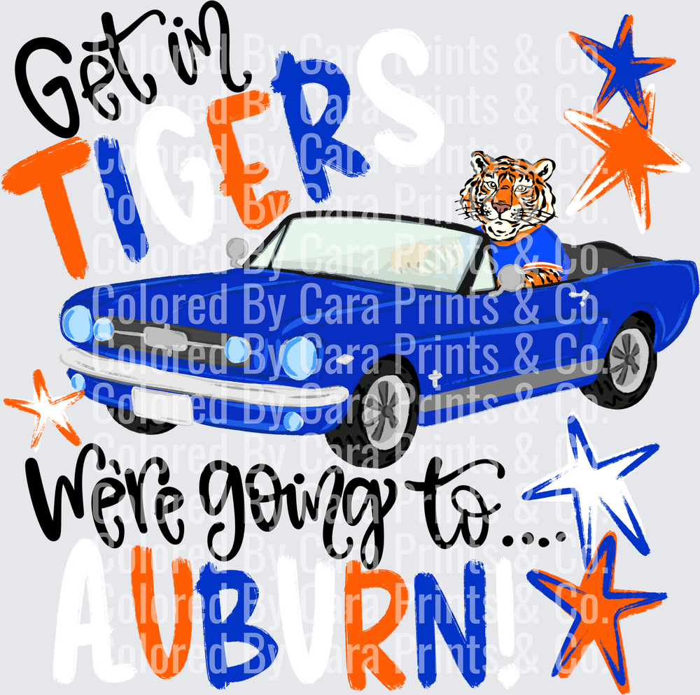 Get in Tigers 3