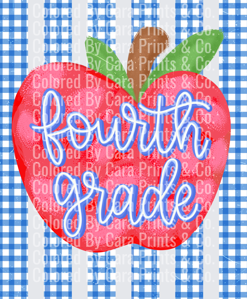 Gingham Stripes Fourth Grade