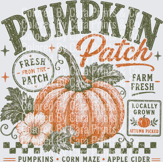 Pumpkin Patch
